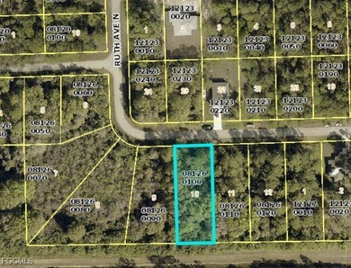 Lehigh Acres Area Lot For Sale in Lehigh Acres Florida