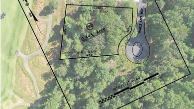 Toccoa River - Fannin County Lot For Sale in Mineral Bluff Georgia