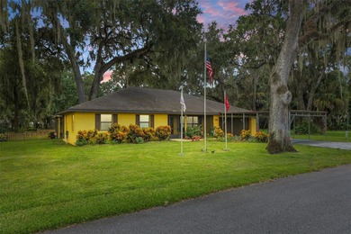 (private lake, pond, creek) Home For Sale in Lake Panasoffkee Florida