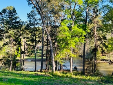 4.35 acres of waterfront located on Toledo Bend Lake - Lake Lot For Sale in Milam, Texas