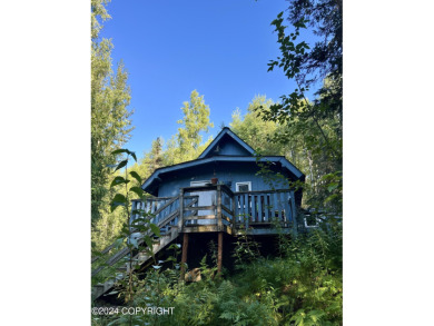 Lake Home For Sale in Willow, Alaska