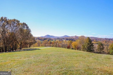 Lake Lot For Sale in Hayesville, North Carolina