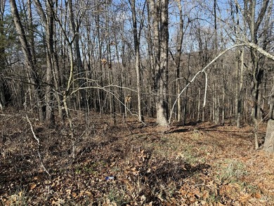 Build Your Dream Home in Kimberling City!Looking for the perfect - photo 2