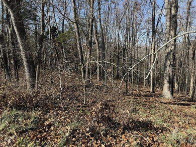 Build Your Dream Home in Kimberling City!Looking for the perfect - photo 4