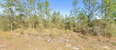 Beautiful high and dry buildable lot in the desirable Unit 1 - photo 15