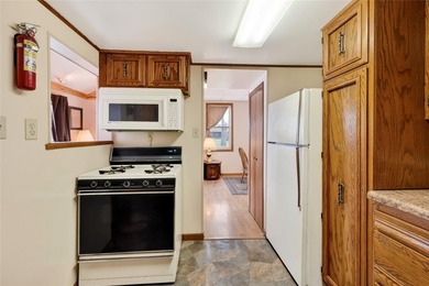 Long Lake getaway at an incredible value! Don't miss this - photo 15