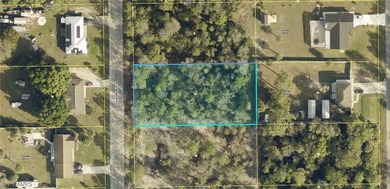 Lehigh Acres Area Lot For Sale in Lehigh Acres Florida