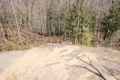 Smith Lake (Brushy Creek) A lot ready to build on with dock in - photo 22