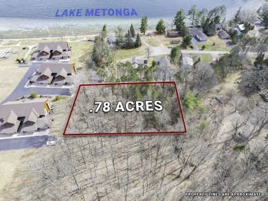Lake Lot For Sale in Crandon, Wisconsin