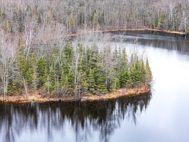 Lake Acreage For Sale in Presque Isle, Wisconsin