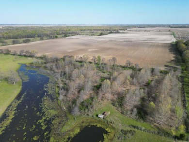 (private lake, pond, creek) Acreage For Sale in Dewitt Arkansas