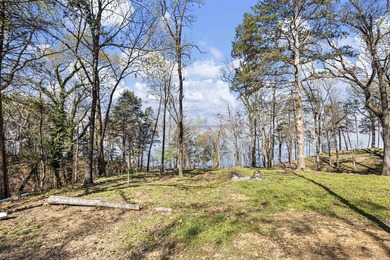 Arkansas River Charmer with Walk-Down Water Access!! This cozy - photo 42