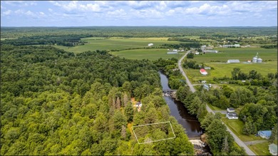 Domaine prive niche dans un ecrin de verdure luxuriante - photo 41