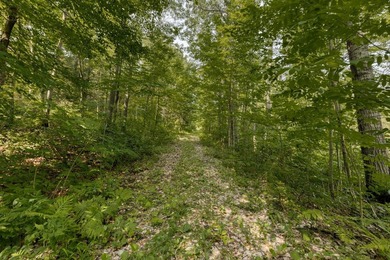 Domaine prive niche dans un ecrin de verdure luxuriante - photo 42