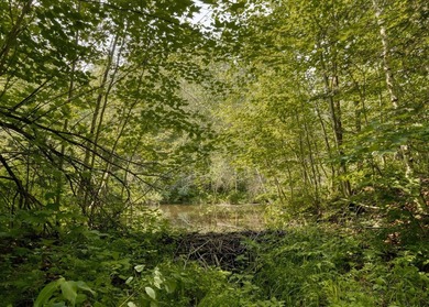 Domaine prive niche dans un ecrin de verdure luxuriante - photo 45