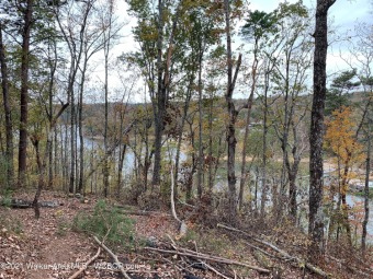 Lewis Smith Lake Acreage For Sale in Cullman Alabama