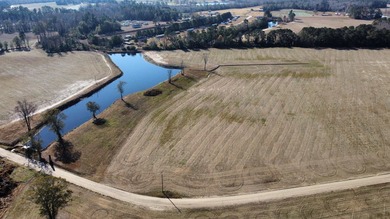 (private lake, pond, coastal) Acreage For Sale in Nichols South Carolina