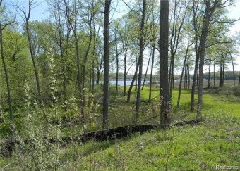 Cass Lake Acreage For Sale in Waterford Michigan