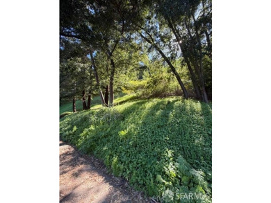 Rare development opportunity featuring 5 premium lots in the - photo 11