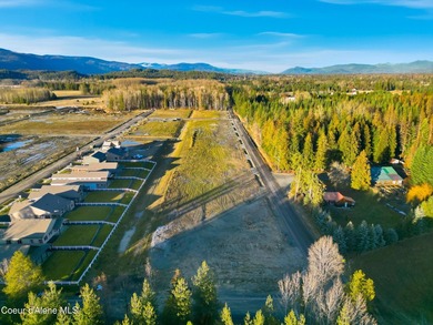 Ten residential builder lots sold together in the Providence - photo 2