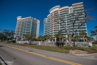 Wake up every morning to gorgeous Gulfport Beach views! Enjoy - photo 2