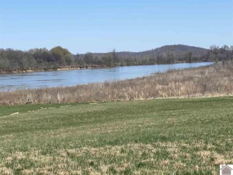 Ohio River - Livingston County Acreage For Sale in Smithland Kentucky
