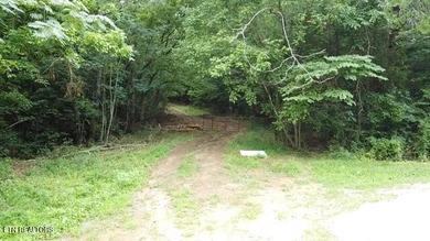 Lake Acreage For Sale in Madisonville, Tennessee