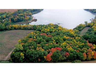 Indian Lake Acreage For Sale in Maple Lake Minnesota