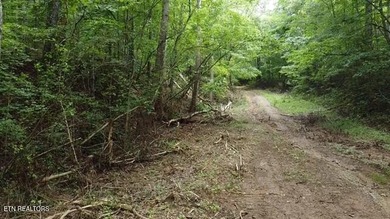 Welcome to an unparalleled 171-acre woodland retreat where - photo 3