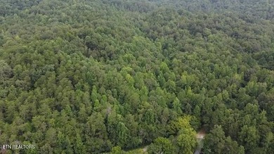 Welcome to an unparalleled 171-acre woodland retreat where - photo 6