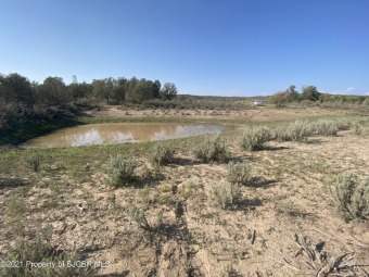 Navajo Reservoir Acreage For Sale in Navajo Dam New Mexico