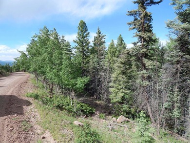 Monte Verde Lake Lot For Sale in Angel Fire New Mexico