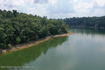 Lewis Smith Lake Lot For Sale in Arley Alabama
