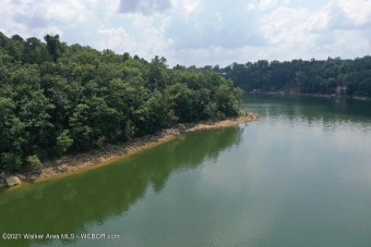 Lake Lot Off Market in Arley, Alabama