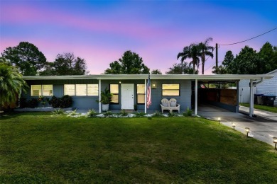 Lake Home For Sale in Orlando, Florida