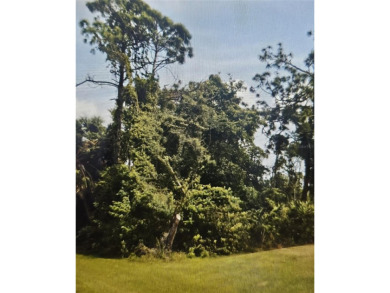 Port Charlotte Waterway Lakes Area Lot For Sale in Port Charlotte Florida