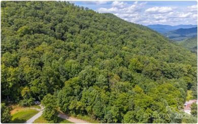 Lake Acreage For Sale in Canton, North Carolina