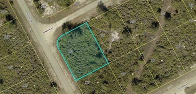 Lehigh Acres Area Lot For Sale in Lehigh Acres Florida