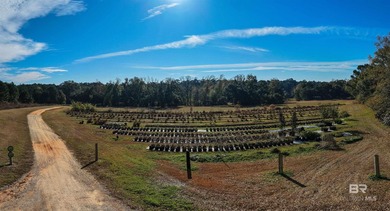 Extraordinary opportunity to own approximately 44.4 acres of an - photo 13