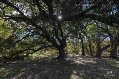 Extraordinary opportunity to own approximately 44.4 acres of an - photo 18