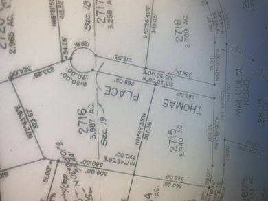 Secluded land waiting to be built on or developed! You do not - photo 2