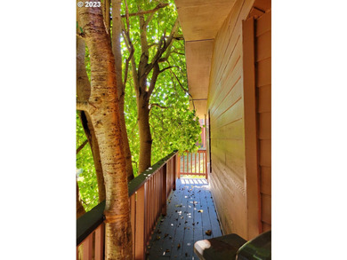 Spacious Cabin at Whaleshead Beach Resort! Two Bedrooms, two - photo 29