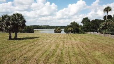 Lake Acreage For Sale in Umatilla, Florida