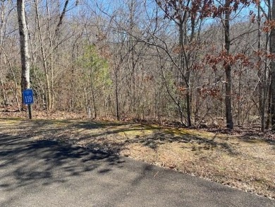 Carters Lake Lot For Sale in Ellijay Georgia