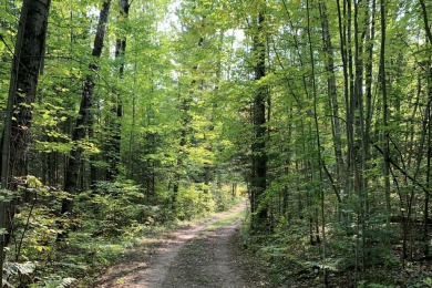 Lake Acreage For Sale in Lac du Flambeau, Wisconsin