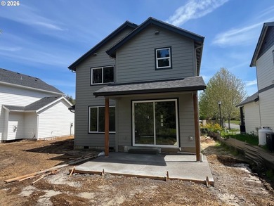Beautiful new Traditional home backing to serene greenspace - photo 3