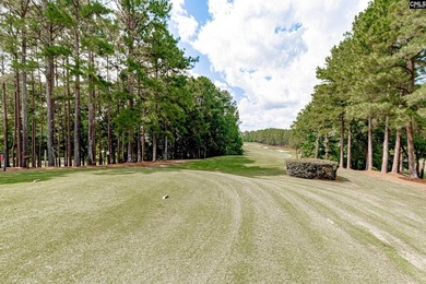 Welcome to this beautiful 4-bedroom, 2.5-bath home located in - photo 48