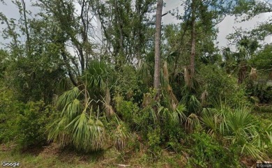 Port Charlotte Waterway Lakes Area Lot For Sale in Port Charlotte Florida