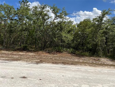 Ready to build that dream home? NO HOA! This is the perfect lot - photo 2
