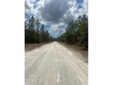 Ready to build that dream home? NO HOA! This is the perfect lot - photo 3
